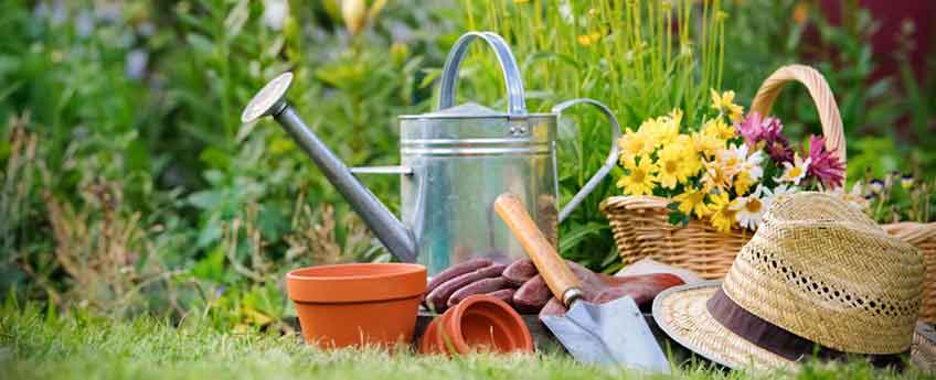 Spring Time Gardening Tips - Burston Garden Centre