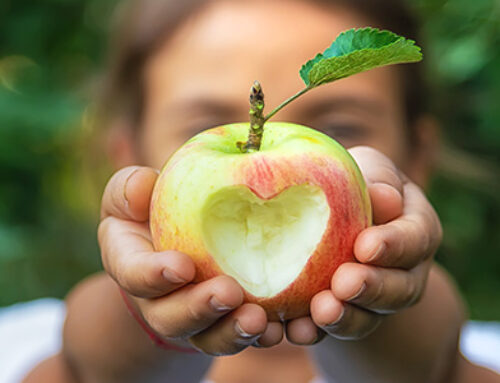 How to Harvest Late Season Apples